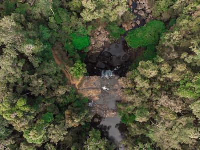 Aerial View of a Water Stream Surrounded by Lush Green Trees – Free Download