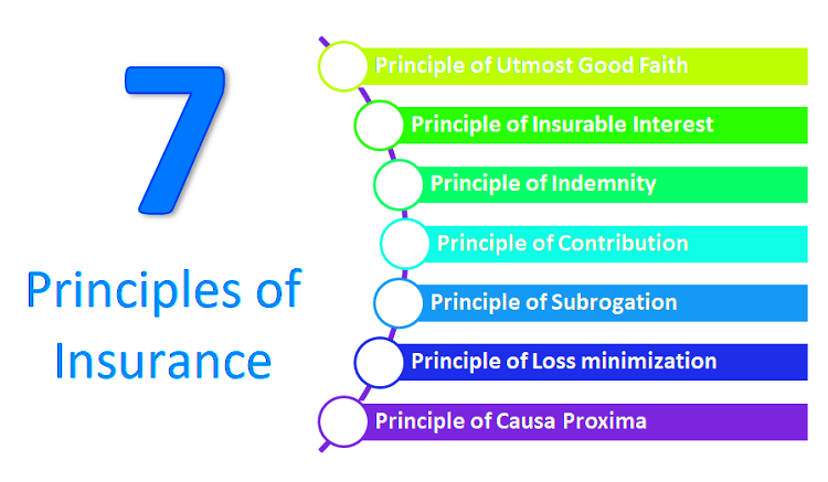 7 principles of Insurance which every investor should know CapitalGreen