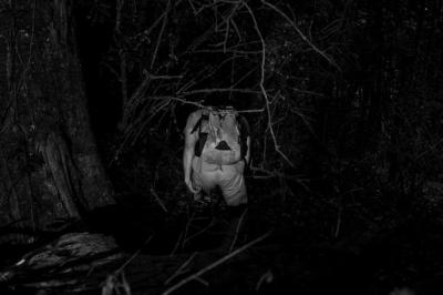 Hiker in Night Vision – Free Stock Photo Download