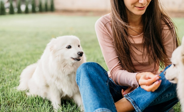 Woman Playing with Cute Dogs – Download Free Stock Photo