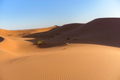 Stunning Sahara Desert Dunes in Morocco – Free Download