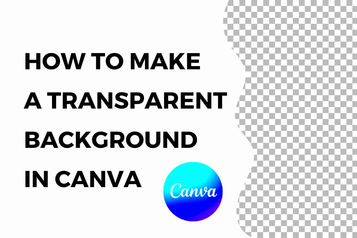 How to Make a Background Transparent in Canva 2023