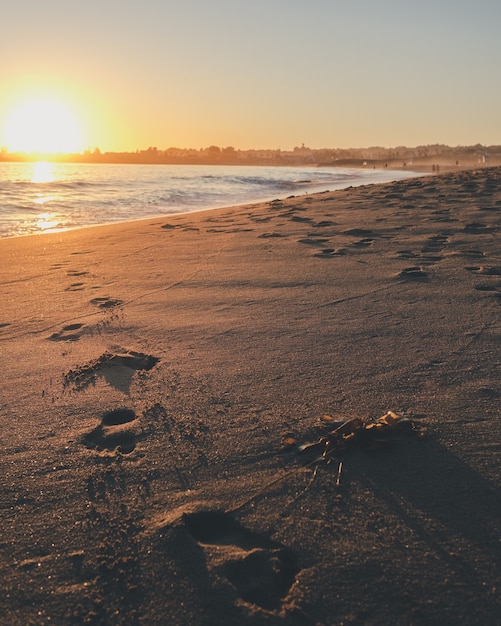 Footprints on the White Sea Sand with Sunlight – Free Download