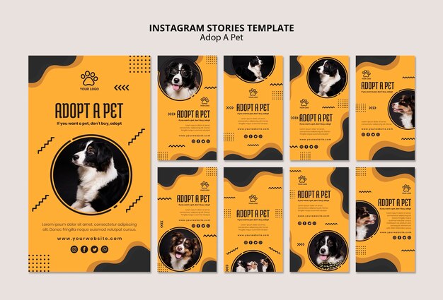 Border Collie Dog Instagram Stories – Free Download