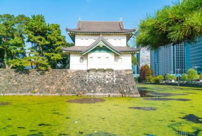 Download Stunning Photos of the Beautiful Imperial Palace Building in Tokyo – Free to Download