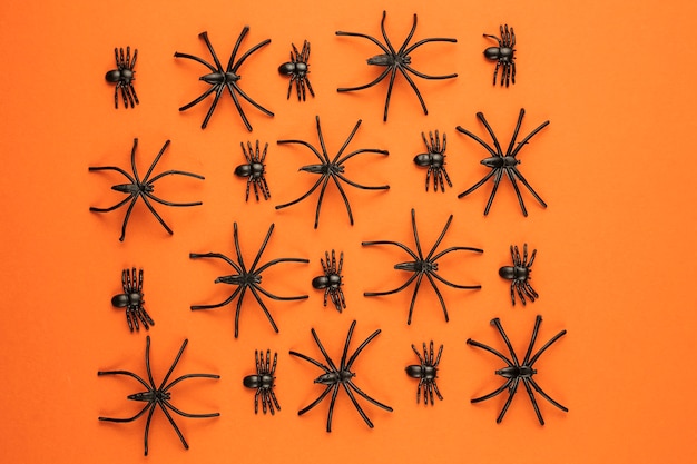 Scary Halloween Spiders – Free Stock Photo, Download for Free