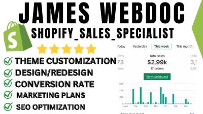 I Will Setup PPC Marketing for Your Shopify Ecommerce Store