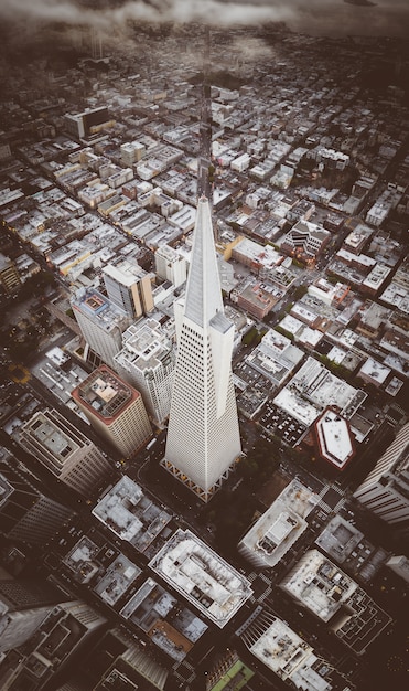 Transamerica Pyramid Building in San Francisco – Free Stock Photo for Download