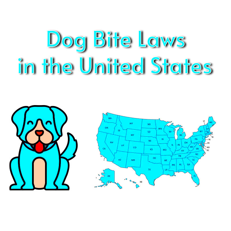 A Summary of Dog Bite Laws by State Recording Law