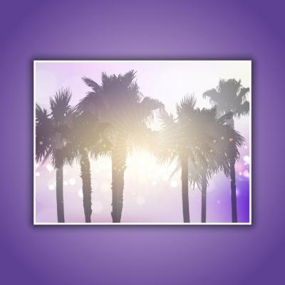 Stunning Palm Trees Background – Free Download