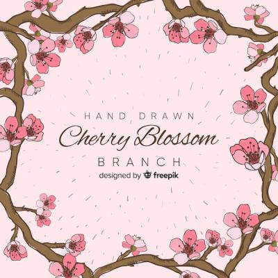 Hand Drawn Cherry Blossom Branch Background – Free Download