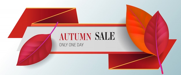 One Day Autumn Sale Lettering with Red Leaves – Free Download