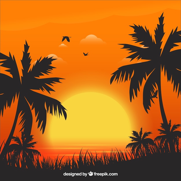 Summer Sunset and Palm Trees Background – Free Download