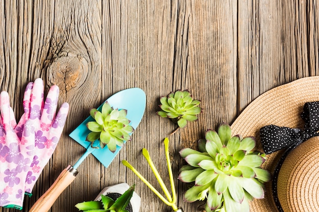 Gardening Tools on Wooden Floor – Free Stock Photo, Download Free