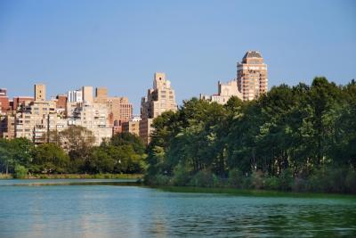 Manhattan Central Park in New York City – Free Stock Photos, Download Free Stock Photo