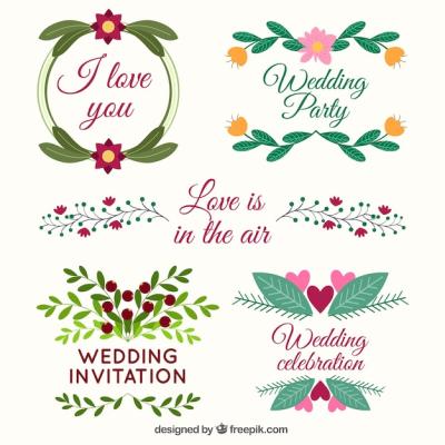 Floral Wedding Frames Pack – Free Stock Photo for Download