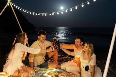 Friends Celebrating and Toasting on the Beach at Night – Free Download