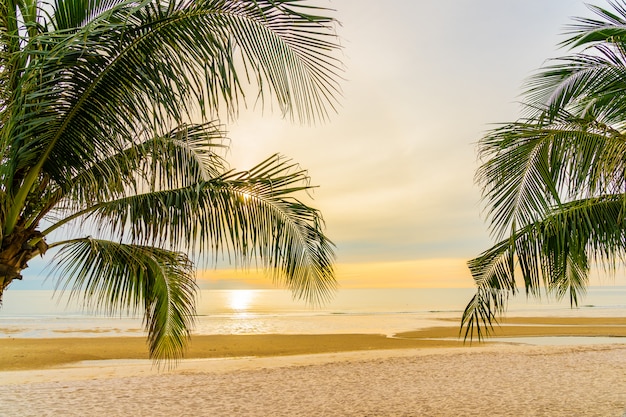 Beautiful Sea Ocean Beach with Palm Tree at Sunrise Time – Free Stock Photo for Download