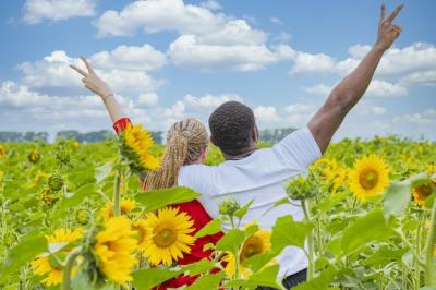 Young Loving Couple Celebrating in a Sunflower Field – Free Download