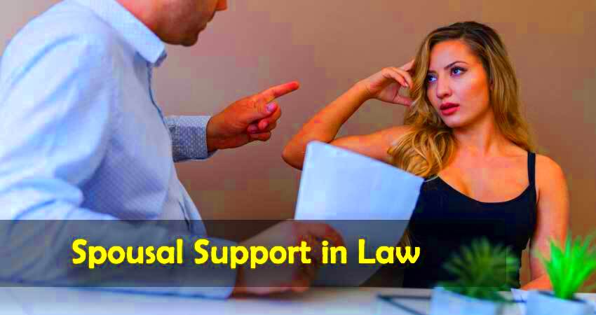 What is Spousal Support in Law Family Lawyer Edmonton