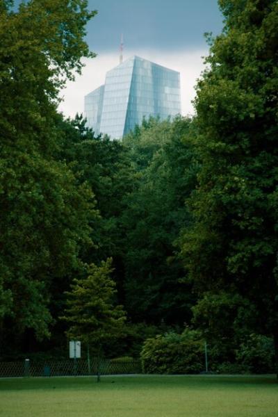 Low Angle View of Trees and Office Building – Free Stock Photo for Download