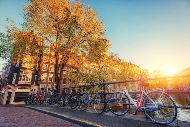 Beautiful Tranquil Scene of the City of Amsterdam – Free Stock Photo for Download