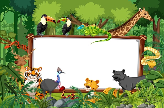 Blank Banner in Rainforest Scene with Wild Animals – Free to Download