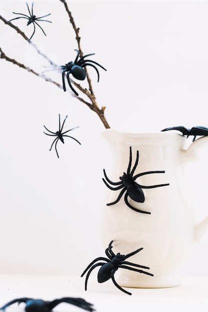 Spiders on Jug and Branch – Download Free Stock Photo