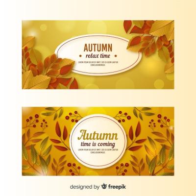 Autumn Banners Template – Realistic Style, Free to Download