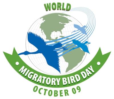 World Migratory Bird Day Banner Design – Free to Download