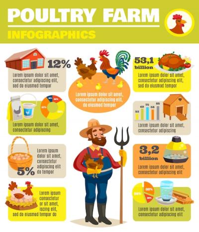 Poultry Farm Infographic Poster – Free Download