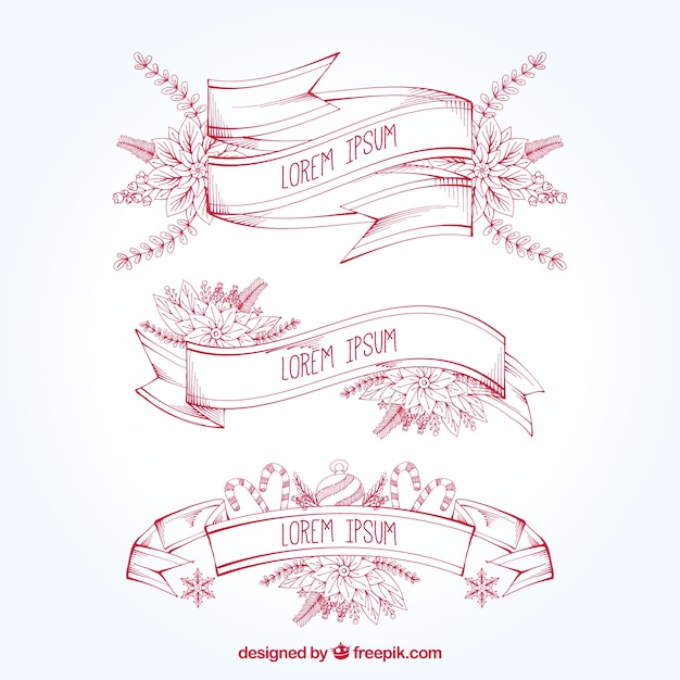 Hand-Drawn Ribbons with Christmas Flowers – Free Download