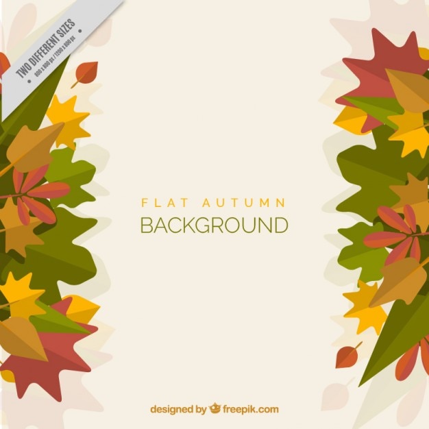 Beautiful Autumn Leaves Background – Free Download