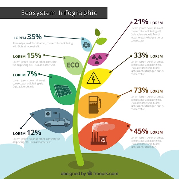 Ecosystem Infographic Concept – Download Free Stock Photo