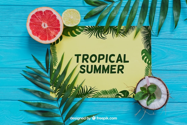 Tropical Summer Composition – Free Stock Photo for Download