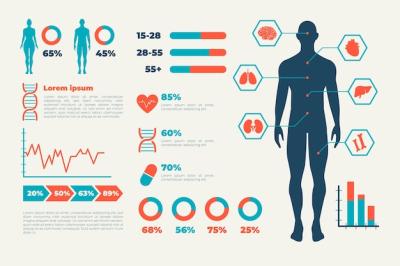 Infographic Healthcare Medical – Free Download, Free Stock Photo