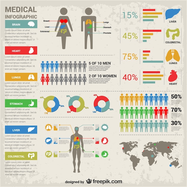 Population Health Statistics Infographic – Download Free Stock Photo