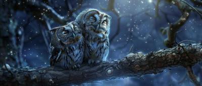 Couple of Owls Nestled Close on a Tree Branch – Free Stock Photo for Download