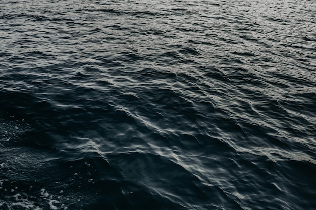 Closeup Shot of Serene Water Waves – Free Download