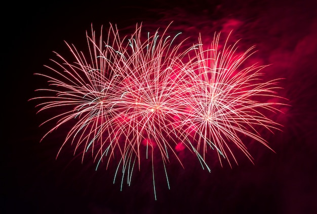 Stunning Fireworks Against a Dark Sky – Free Stock Photo Download