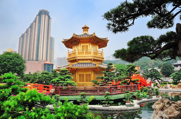 Stunning Hong Kong Garden Images – Free to Download