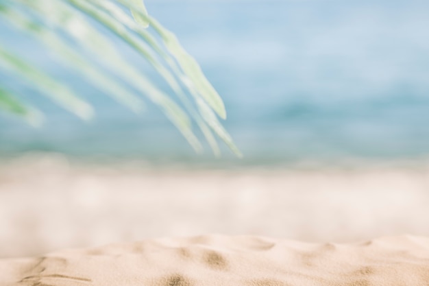 Blurry Beach Background – Free to Download