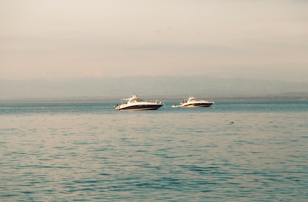 White Yachts in the Sea – Free Download Stock Photos