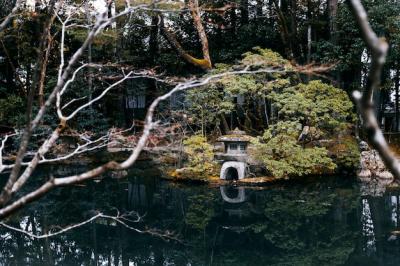 Discover the Beauty of a Japanese Garden – Free Download