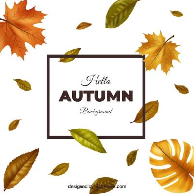 Realistic Autumn Background Design – Free Download