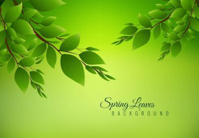 Nature Background Illustration Featuring Green Leaves – Free Download