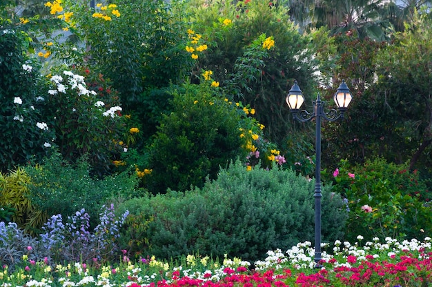 Lantern Street Lighting in Park with Flowers – Free Download