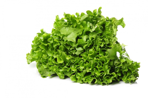 Fresh Lettuce Isolated – Free Download