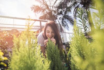 Smiling Young Woman in Greenhouse Enjoying Aromatic Plant – Free Download