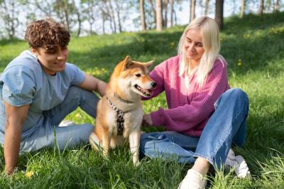 Cute Shiba Inu Pet with Family – Free Stock Photo for Download